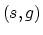 $(s,g)$