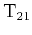 $ {{\text{T}}_{21}}$