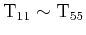 $ {{\text {T}}_{11}}\sim {{\text {T}}_{55}}$