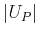 $\displaystyle \left\vert U_{P} \right\vert$