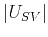 $\displaystyle \left\vert U_{SV}\right\vert$
