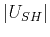 $\displaystyle \left\vert U_{SH}\right\vert$