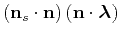 $\displaystyle \left ({\bf n}_s\cdot {\bf n}\right)\left ({\bf n}\cdot {\boldsymbol{\lambda}} \right)$
