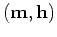 $({ \bf m},{ \bf h})$