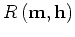 $\displaystyle R \left ({ \bf m},{ \bf h}\right )$