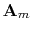 $ \bold A_m$