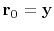 $ \bold r_0 = \bold y$