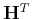 $\mathbf H^T$
