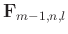 $ \mathbf{F}_{m-1,n,l}$