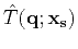 $\hat{T}(\mathbf{q};\mathbf{x_s})$