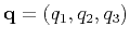 $\mathbf{q} = (q_1,q_2,q_3)$
