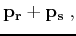 $\displaystyle {{\bf p}_{\bf r}}+ {{\bf p}_{\bf s}}\;,$