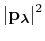 $\displaystyle \vert{{\bf p}_ {\boldsymbol{\lambda}} }\vert^2$