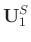 $\displaystyle \mathbf{U}_1^S$