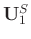 $\mathbf{U}_1^S$