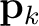 $\mathbf{p}_k$