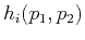 $\displaystyle h_i(p_1,p_2)$