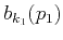 $ b_{k_1}(p_1)$