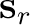$\mathbf{s}_r$