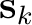 $\mathbf{s}_k$
