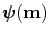 $ \pmb{\psi}(\mathbf{m})$