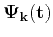 $\mathbf{\Psi_{k}(t)}$
