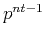 $ p^{nt-1}$