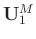 $\mathbf{U}_1^M$