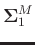 $\boldsymbol{\Sigma}_1^M$