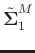 $\tilde{\boldsymbol{\Sigma}}_1^M$