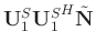 $\mathbf{U}_1^{S}{\mathbf{U}_1^{S}}^H\tilde{\mathbf{N}}$